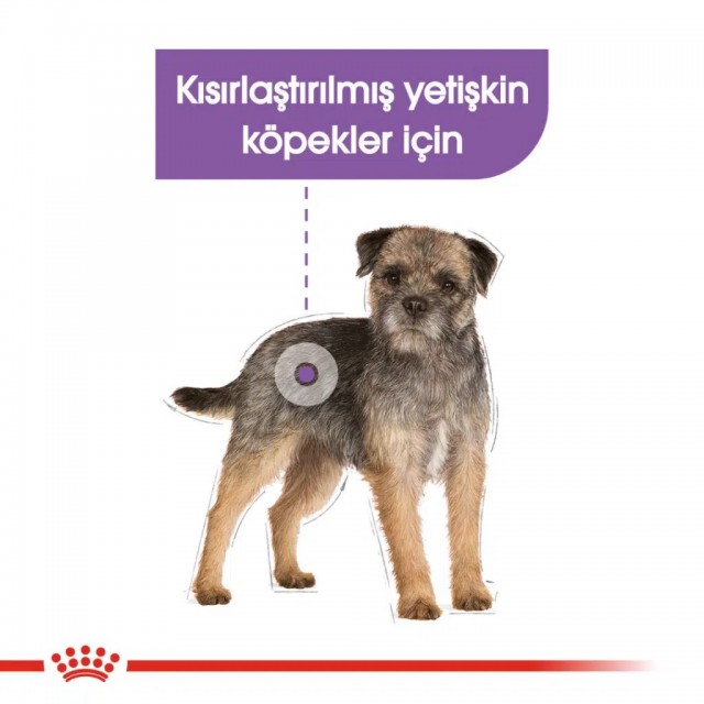 Royal Canin Sterilised Kısırlaştırılmış Köpek Yaş Maması 85 Gr