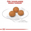 Royal Canin X-Small Adult Yetişkin Köpek Maması 3 Kg