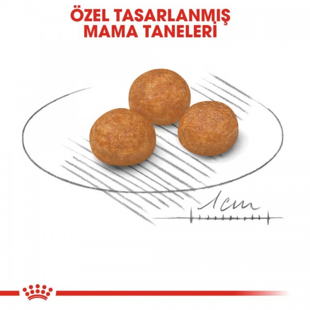 Royal Canin X-Small Adult Yetişkin Köpek Maması 3 Kg