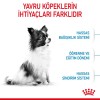 Royal Canin X Small Puppy Yavru Köpek Maması 1.5 Kg