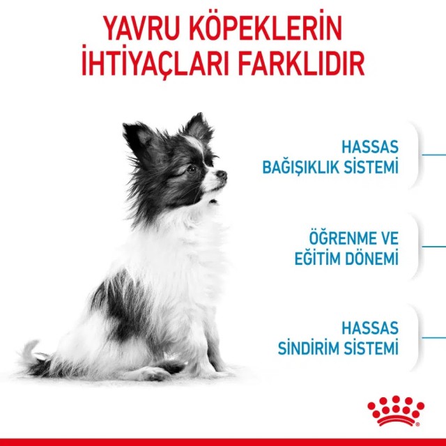 Royal Canin X Small Puppy Yavru Köpek Maması 1.5 Kg