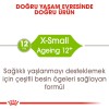 Royal Canin Xsmall Ageing +12 Küçük Irk Yaşlı Köpek Maması 1,5kg