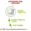 Royal Canin Xsmall Ageing +12 Küçük Irk Yaşlı Köpek Maması 1,5kg