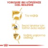 Royal Canin Yorkshire Adult Yetişkin Köpek Maması 1.5 Kg