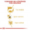 Royal Canin Yorkshire Terier Adult Pouch Köpek Yaş Maması 85 Gr