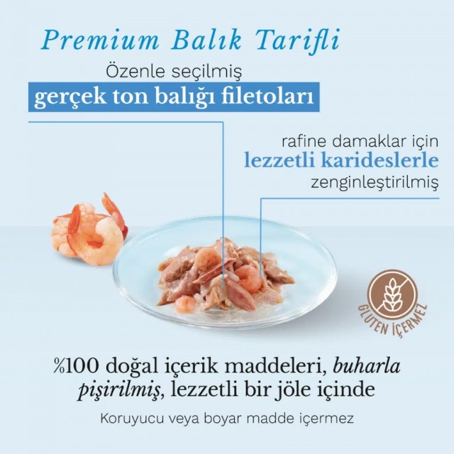 Schesir Cat Jelly Multipack Ton Balıklı ve Karidesli Kedi Konservesi 6x50 Gr