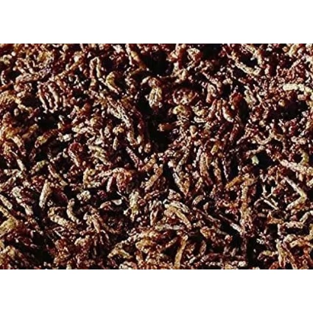Sera Blood Worms Kan Kurdu 50 Ml