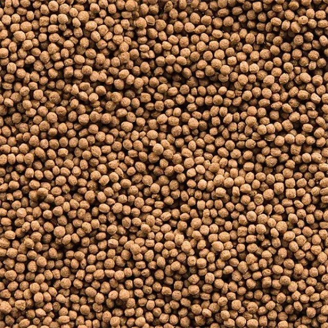 Sera Goldfish Granules 50ml 18gr