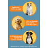 SmartPet + Oral and Dental Care Kedi ve Köpekler için Ağız ve Diş Bakım Ürünü 250ml