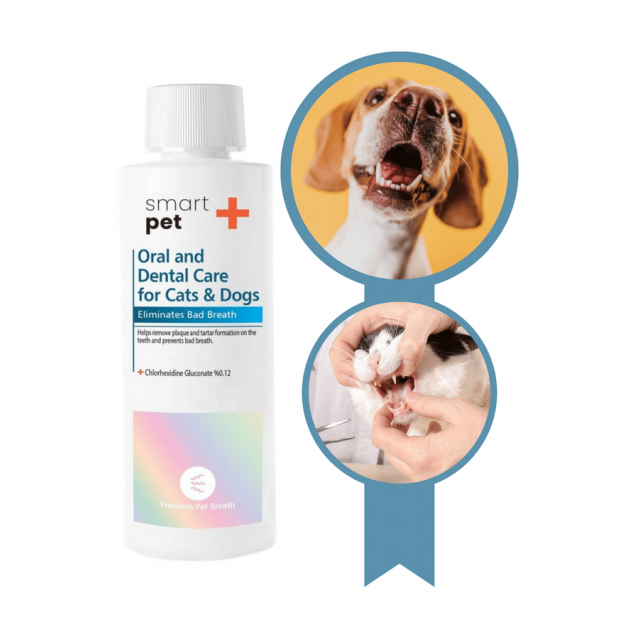 SmartPet + Oral and Dental Care Kedi ve Köpekler için Ağız ve Diş Bakım Ürünü 250ml