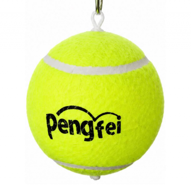 Tenis Topu Kedi ve Köpek Oyuncağı 10 cm