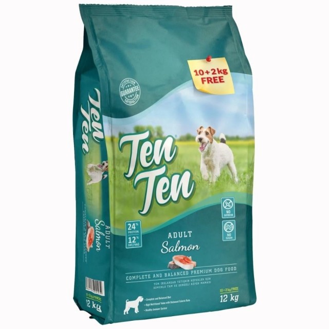 Tenten Somonlu Yetişkin Köpek Maması 12 kg