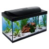 Tetra Starter Line Led Akvaryum Seti 54 Litre
