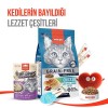 Wanpy Dondurularak Kurutulmuş Fluffy Toppers Ördek Brüksel ve Kara Lahanalı Kedi Ödül Maması 30gr