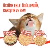 Wanpy Dondurularak Kurutulmuş Fluffy Toppers Tavuk Karides ve Yumurta Sarılı Kedi Ödül Maması 30gr