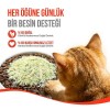 Wanpy Dondurularak Kurutulmuş Fluffy Toppers Tavuklu ve Kedi Otlu Kedi Ödül Maması 30gr
