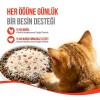Wanpy Dondurularak Kurutulmuş Fluffy Toppers Tavuklu ve Kızılcıklı Kedi Ödül Maması 30gr