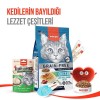 Wanpy Dondurularak Kurutulmuş Fluffy Toppers Tavuklu ve Kızılcıklı Kedi Ödül Maması 30gr