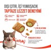 Wanpy Crunch Tavuklu ve Kedi Otlu Kedi Ödül Maması 60gr