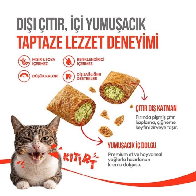 Wanpy Crunch Tavuklu ve Kedi Otlu Kedi Ödül Maması 60gr