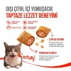 Wanpy Crunch Somonlu ve Havyarlı Kedi Ödül Maması 60gr