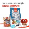 Wanpy Crunch Somonlu ve Havyarlı Kedi Ödül Maması 60gr