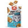 Wanpy Crunch Tavuklu Kedi Ödül Maması 60gr
