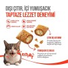 Wanpy Crunch Tavuklu Kedi Ödül Maması 60gr
