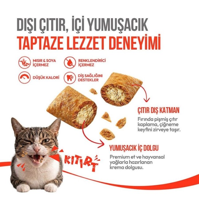 Wanpy Crunch Tavuklu Kedi Ödül Maması 60gr