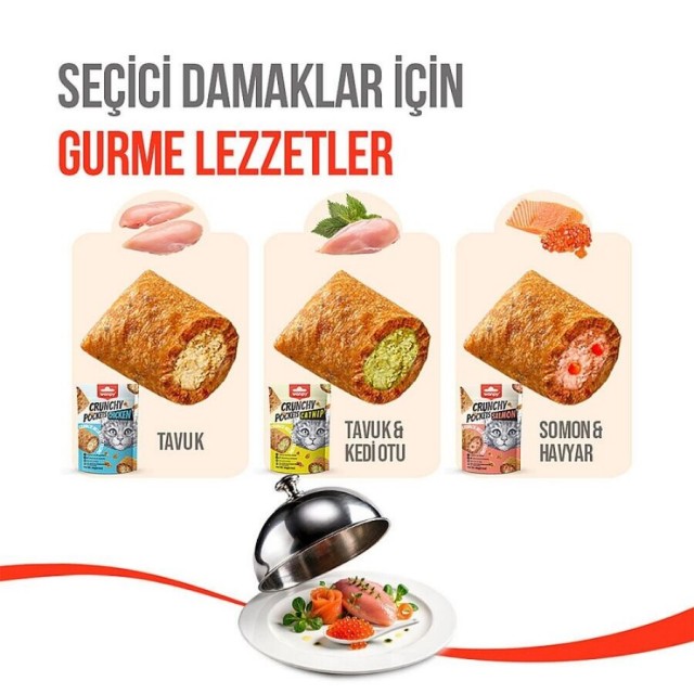 Wanpy Crunch Tavuklu Kedi Ödül Maması 60gr