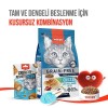 Wanpy Crunch Tavuklu Kedi Ödül Maması 60gr