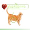 Wanpy Kidney Health Tavuklu ve Sebzeli Krema Kedi Ödülü 5x14gr