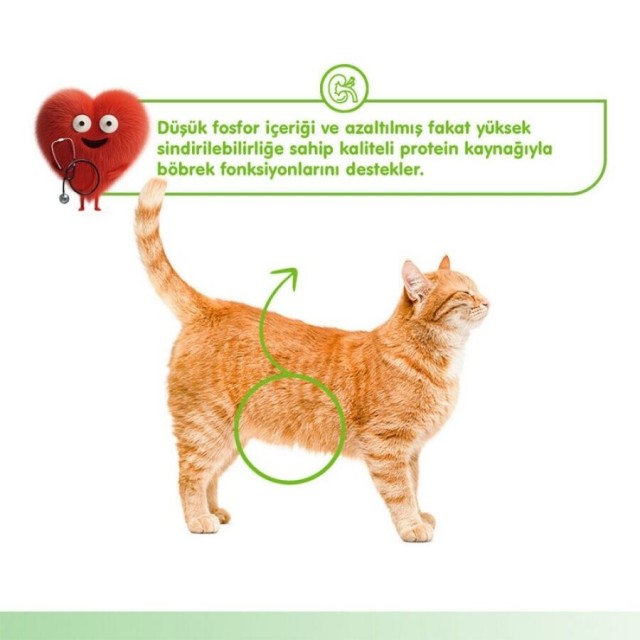 Wanpy Kidney Health Tavuklu ve Sebzeli Krema Kedi Ödülü 5x14gr