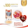 Wanpy Somonlu Yavru Kedi Krema Ödülü 5×14gr