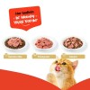 Wanpy Tahılsız %100 Gerçek Et Kuzulu Yetişkin Kedi Konservesi 375gr