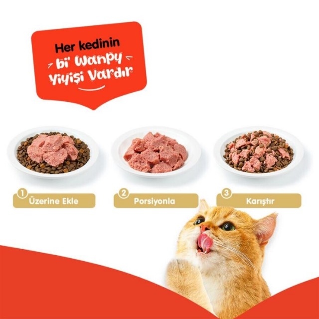Wanpy Tahılsız %100 Gerçek Et Kuzulu Yetişkin Kedi Konservesi 375gr