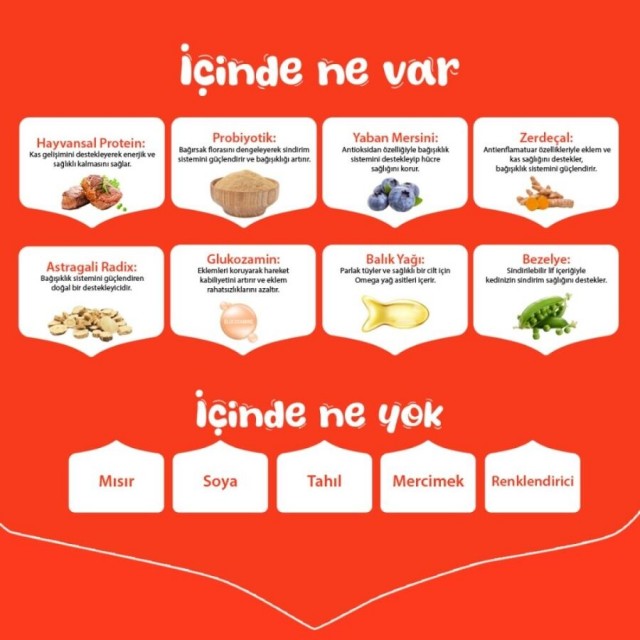 Wanpy Tahılsız Sığır Etli Yetişkin Köpek Maması 12kg