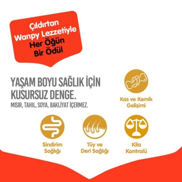 Wanpy Tahılsız Sığır Etli Yetişkin Köpek Maması 12kg