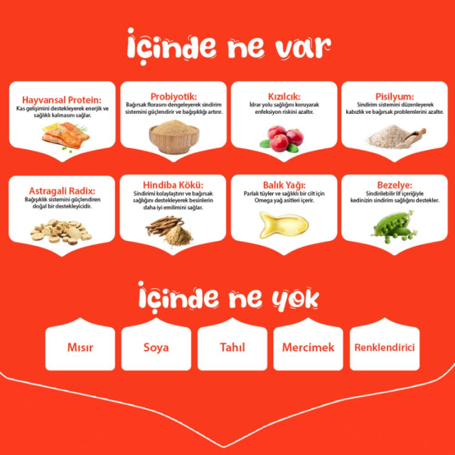 Wanpy Tahılsız Somonlu Yetişkin Kedi Maması 1,5 kg