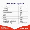 Wanpy Tahılsız Somonlu Yetişkin Kedi Maması 8kg