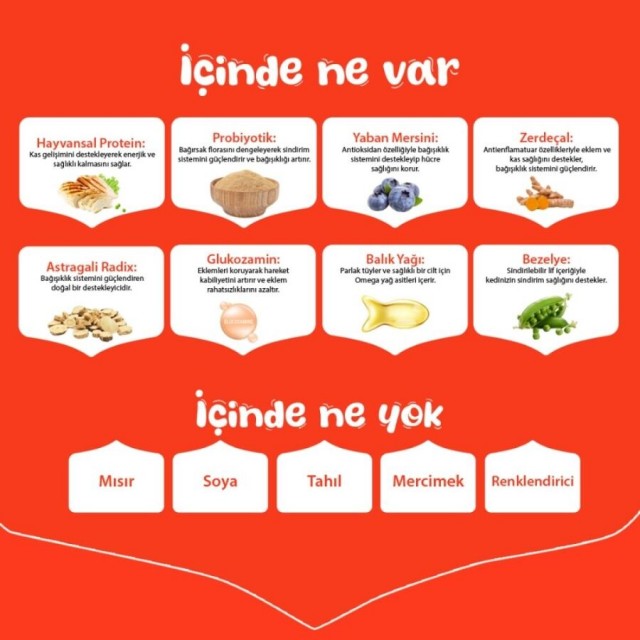 Wanpy Tahılsız Tavuklu Yetişkin Köpek Maması 12kg