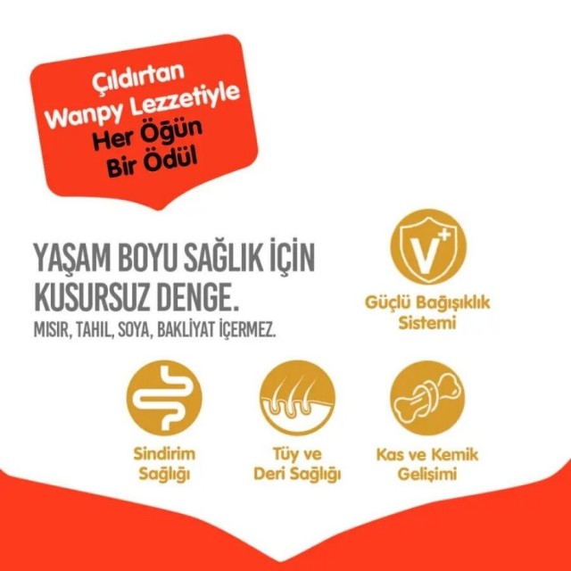 Wanpy Tahılsız Tavuklu Yetişkin Köpek Maması 12kg