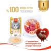 Wanpy Tavuklu ve Ciğerli 7+ Yaş Kedi Krema Ödülü 5×14gr