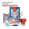 Wanpy Ton Balıklı ve Kızılcıklı Kısırlaştırılmış Kedi Krema Ödülü 5×14gr