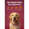 Zampa Dana Eti Sargılı Kemik Köpek Ödülü 75 Gr