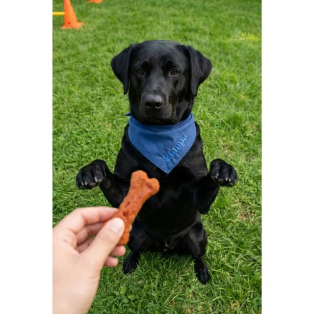 Zampa Kemik Şeklinde Dana Etli Köpek Ödülü 75 Gr
