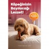 Zampa Kemik Şeklinde Dana Etli Köpek Ödülü 75 Gr