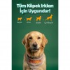 Zampa Kuzu Etli Dilimler Köpek Ödülü 75 Gr