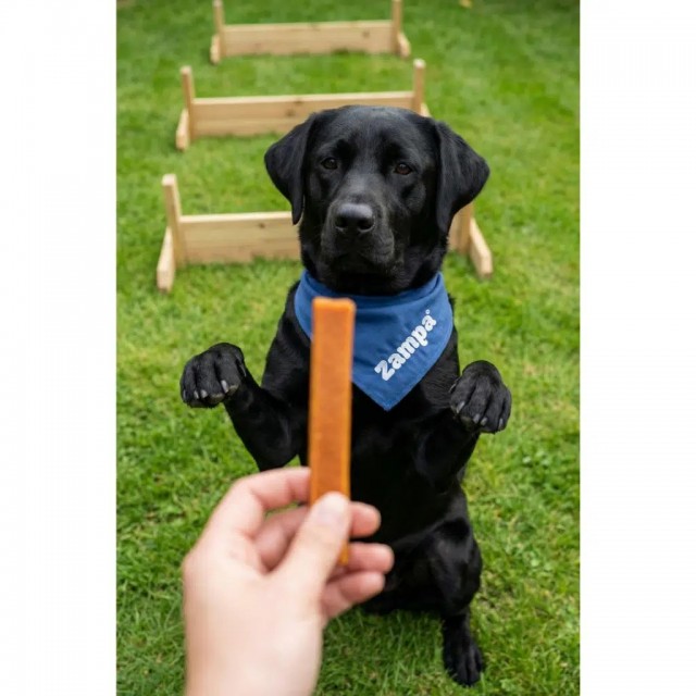 Zampa Kuzu Etli Dilimler Köpek Ödülü 75 Gr