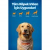Zampa Ördek Etli But Köpek Ödülü 75 Gr